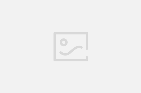 Domain Sales History